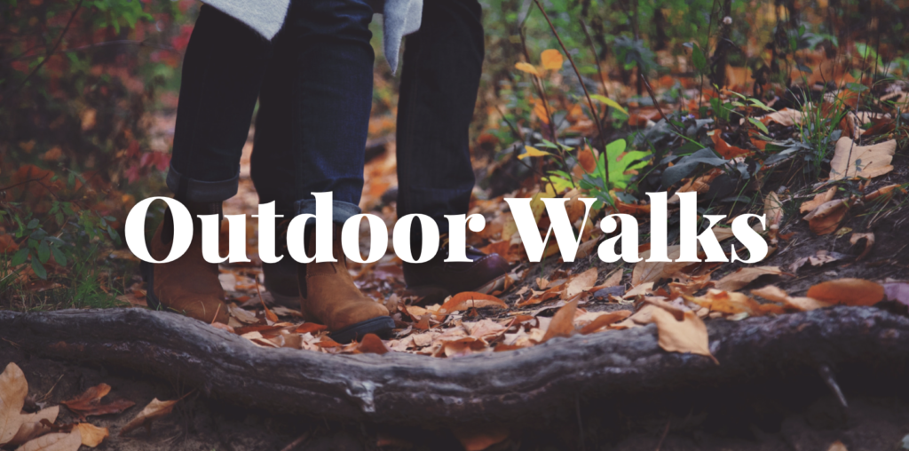 Outdoor Walks in the fall